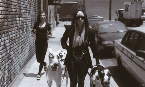 Lady gaga's dogs were targeted by thieves wednesday night. Lady Gaga Great Dane Dogs - Lady Gaga Age