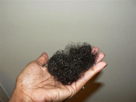 I thought that getting rid of the shed hair early on prevents it from tangling up in the rest of your hair? Breakage Vs Shedding Part 1. - KL's Naturals