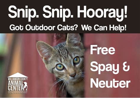 The projects below have been funded to provide free spay and neuter services to low income pet owners in maryland. FREE SPAY/NEUTER PROGRAM RESUMES AT SHELTER | Spring Hill ...