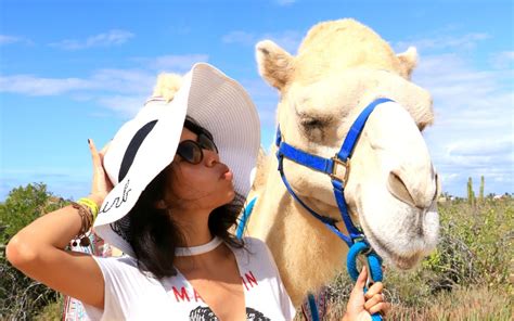 Enjoy a spectacular camel ride along the crystalline waters and majestic waves of the pacific ocean. Family activities in Los Cabos, Mexico | Living Mi Vida Loca