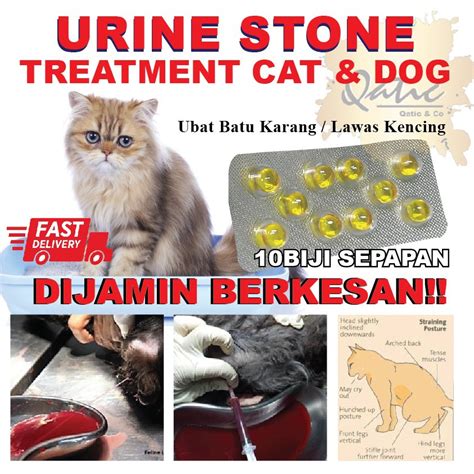 Ubat kencing manis murah, semulajadi & berkesan via kencingmanis.net. Ubat Batu Karang kucing / Urine Stone / Lawas Kencing - 10 ...