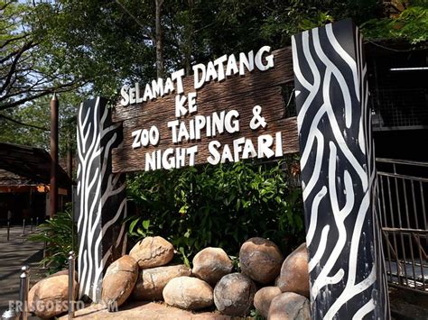 Zoo taiping lebih baik pergi night safari tempat menarik di taiping 2021 vlog trip cuti taiping pendapat saya, lebih bagus untuk. Taiping Zoo & Night Safari, Perak - One Of the Best Zoos ...