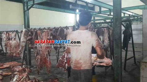 Maybe you would like to learn more about one of these? Permintaan Daging Sapi Jelang Ramadan di Tasikmalaya Menurun