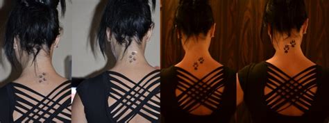 Na začátku listopadu nám dorazila pěkná várka krmiva pro kočky od mall.cz. Tetování - reálný otisk psí tlapky - Diskuze Omlazení.cz (7)