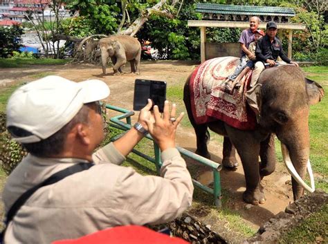 Koleksi, luas area, dan harga tiket masuk kebun binatang milik pemda. 9 Wisata Bukittinggi sumatera barat - INDONESIA KAYA