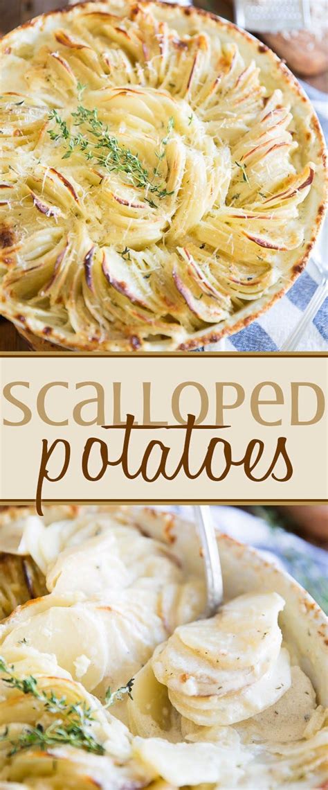 21 incredible vegetable side dishes to serve at thanksgiving dinner. Elegant Scalloped Potatoes | Recipe | Food recipes, Potato dishes, Side dish recipes