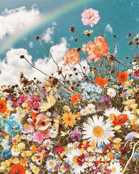 Choose from hundreds of free flower wallpapers. Anthropologie on Instagram: "🌼 + 🌈 = ️ ️ ️ Photo via @odwyer_sio9" (With images) | Wallpaper ...