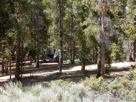 Maybe you would like to learn more about one of these? Camp in the Trees in Leadville Colorado in 2020 | Camping ...