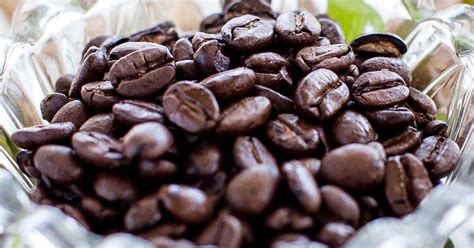 Coffee beans featured image | Coffee beans, Coffee cookies ...