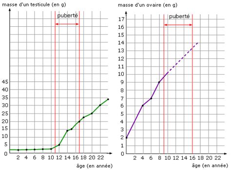 Représenter des données sous forme de graphique. Cours de SVT 4e - La puberté - Maxicours.com
