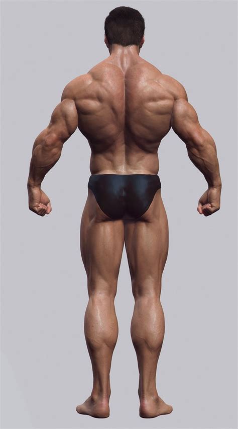 The intrinsic back muscles, which are also called true back muscles. Picked up by CGchips. 2D,3DCG tutorials and 3Dprinter news ...