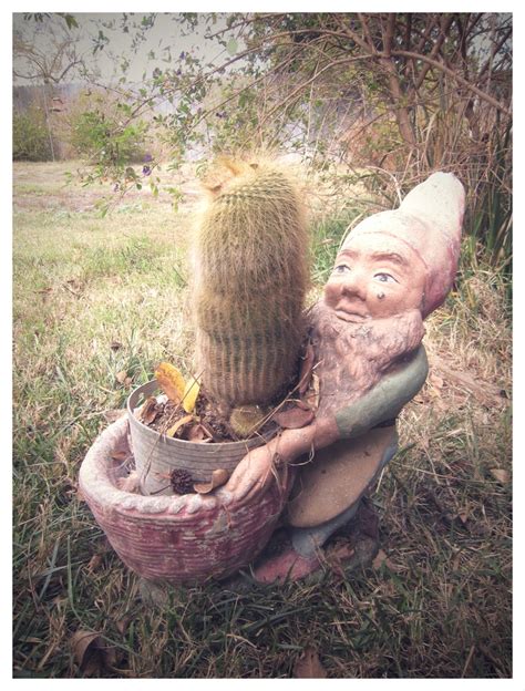 The street is wet this morning. our naughty gnome... | For Jinx | Pinterest