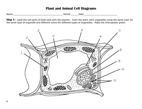 These fun animal coloring pages make any time a happy time! Animal Cell Coloring Page - Coloring Home