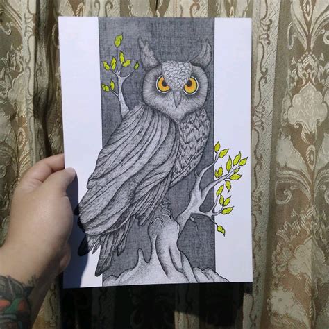 Untuk mempercantik sketsa gambar burung hantu yang dibuat anda bisa memberikan warna. Gambar Arsiran Burung Hantu - Gambar Burung