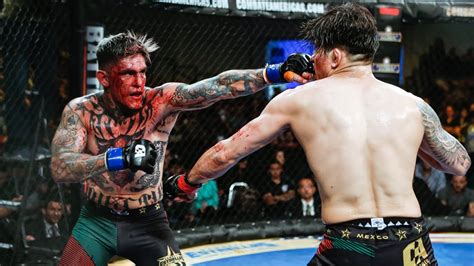 View fight card, video, results, predictions, and news. MMA | Combate Estrellas 2 | Ricardo Arreola vs. Ivan Pérez ...