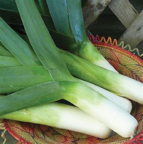 From creamy polenta to poached eggs, these microwave recipes promise to save you time and are a delicious compliment to your breakfast lunch and dinner. Cook leeks for St David's Day - The Carmarthenshire Herald