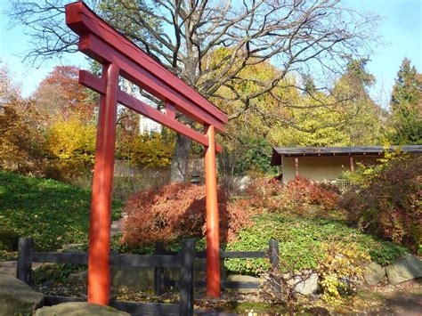 Werfen sie einen ersten blick auf unsere großzügigen räumlichkeiten. Bonsai - Gemeinschaft: Zur Kirschblüte in den japanischen ...