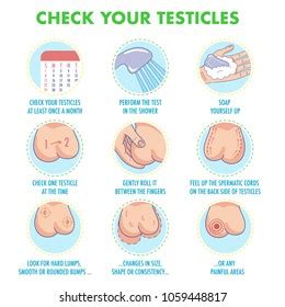 If you have been diagnosed with testicular cancer, you also need to be observed for signs of recurrence for between 5 and 10 years, so it's very important that you attend. Firm testicles.