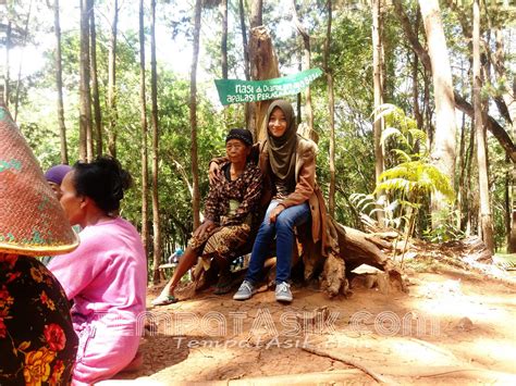 Ada beberapa tipe resort yang disediakan, yaitu gazebo, rumah kayu dan jineng. Rumah Hobbit Paraland Resort / Harga Penginapan Rumah ...