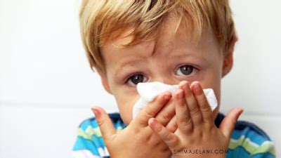 It's quite different from the common cold. Influenza A : Kenali, Simptom-simptom Dan Cara Mencegahnya ...