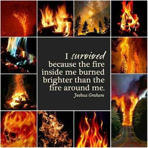 Further back, think of this. I survived because the fire inside me burned brighter than the fire around me - Joshua Graham ...