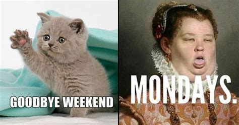 Arriving to work monday morning. 24 Funny Monday Memes To Distract You from the Worst Day ...