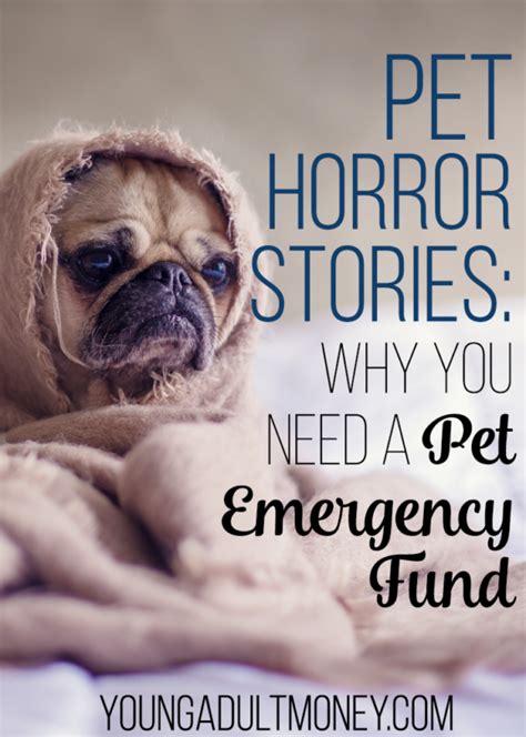 750 x 215 png 89 кб. Pet Horror Stories - Why You Need a Pet Emergency Fund ...