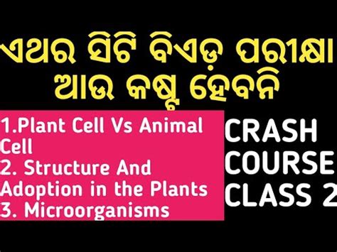 Animal cells secrete a mix of glycoproteins (similar to the fibrous collagen protein found in our tendons and ligaments) which surrounds the animal cell forming a protective surface. 1.Plant Cell Vs Animal Cell 2. Structure And Adoption in ...