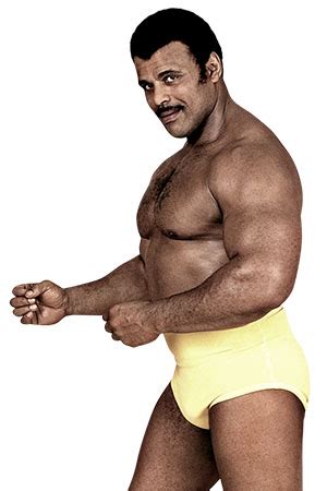 Ata johnson, better known for being the mother of american actor and professional wrestler dwayne johnson, ended her longtime relationship with her husband, rocky johnson. Yokozuna Archives - Wrestling Advisor