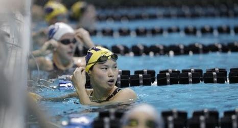 Colorado cats in colorado springs, co takes pride in their luxury cat boarding kennels. Michigan swimmer Maggie MacNeil is a world champ, but ...