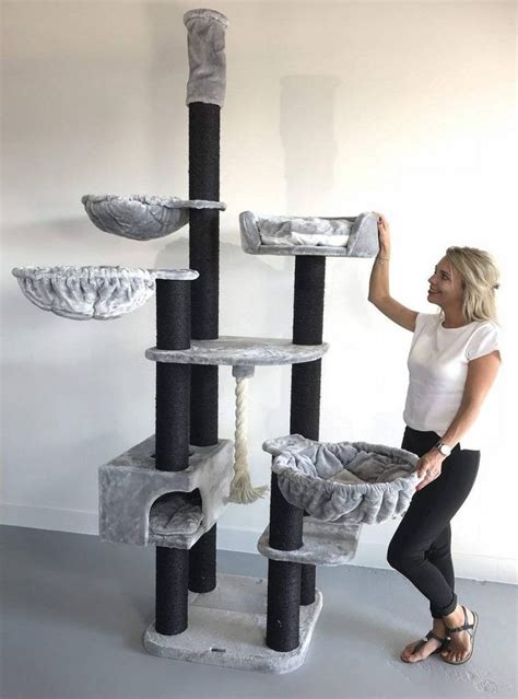 Choose from a wide range of similar scenes. Floor To Ceiling Cat Trees | LOWEST PRICES | FREE DELIVERY ...