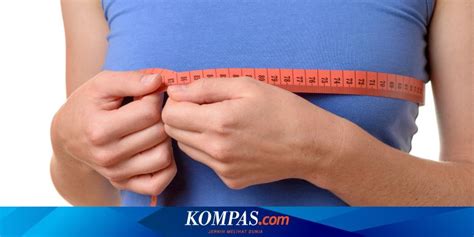 Kenapa pipi memerah saat tersipu malu? Misteri Tubuh Manusia, Kenapa Payudara Perempuan Besar Permanen?