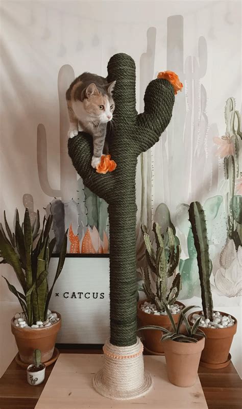 Search job openings at milton cat. Cactus Cat Scratcher Post budgies as pets for sale. cat ...