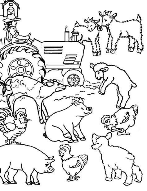 Farms and farm animals are an enduring theme with children, and we've got a great collection of farm colouring pages of all sorts, to appeal to all age groups up from the very youngest children. Malvorlagen fur kinder - Ausmalbilder Bauernhoftiere ...