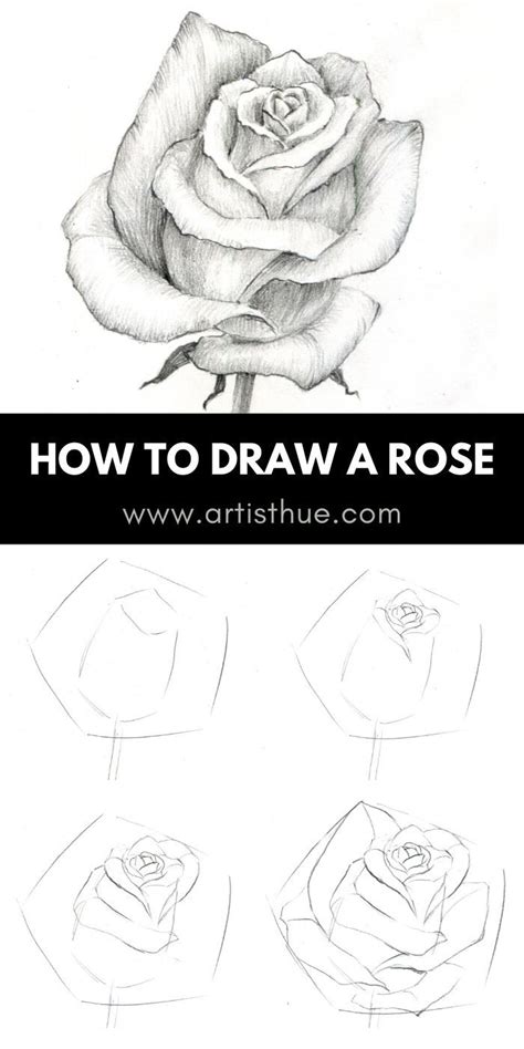 The program will show step by step how to draw. Learn How to Draw a Rose Step By Step: Easy to Follow in ...