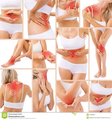 What part of woman's body is the most sexually attractive? Spierpijn In Verschillende Delen Van Lichaam Stock Foto ...