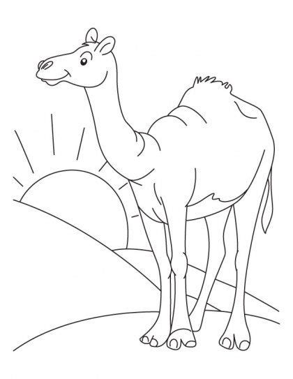 Worlds largest deserts like sahara, gobi, kalahari, arabian, patagonian and great basin desert. Sahara Desert Coloring Pages | Coloring pages, Super ...