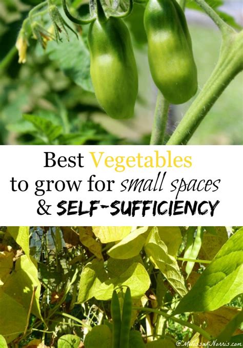 Check spelling or type a new query. The Best Vegetables for Small Spaces & Self-Sufficiency ...