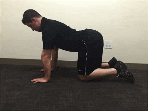 With this exercise it may help to have someone assist in placing their finger on each segment of the spine as you work through each level. 11 Moves to Improve Hip Mobility & Undo Hours of Sitting