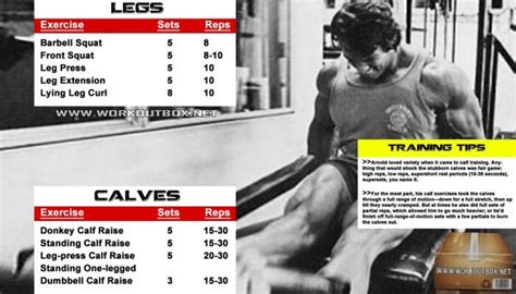 There can be many reasons why people don't want to use a barbell. Arnold Legs And Calves Workout Routine - Schwarzenegger ...