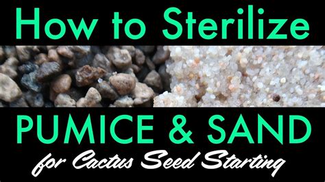 Succulent and cactus soil guide. How to Sterilize Pumice & Sand for Cactus Seed Starting ...