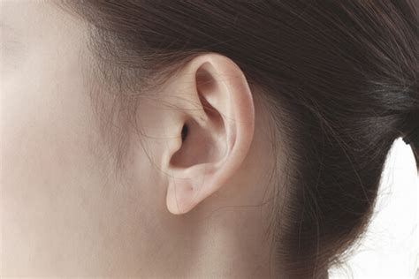 イメージカタログ: 立派な ピアス 穴 隠す