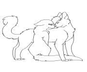 Cat colouring pages activity village. WARRIOR CATS Coloring Pages Color Online Free Printable