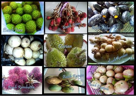 Ditambah lagi, buah ini sarat dengan antioksidan untuk kalori yang. Buah-buahan Tempatan