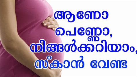 We are introducing a comprehensive learning system on pregnancy care, developed after extensive studies and creative efforts. How To Know Baby Gender During Pregnancy In Malayalam ...