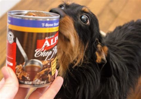 Free shipping on orders over $25.00. ALPO® Wet Dog Food Makes the Tail Wag - Clever Housewife