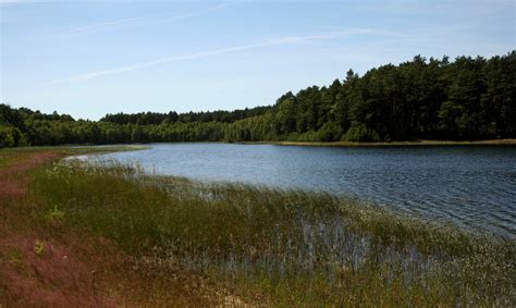 Gdzie piękno przyrody zapiera dech w piersiach. Park Narodowy "Bory Tucholskie" z siedzibą w miejscowości ...