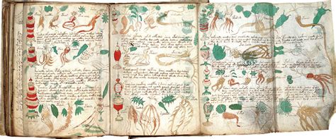 10 libros que nadie te recomienda pero deberías leer para entender mejor la vida. Manuscrito Voynich: El libro que nadie puede leer - NeoTeo