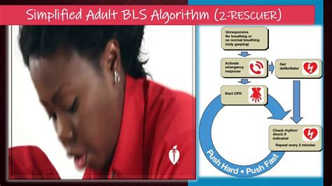 Join the leading training provider now! HOW to Perform the Basic Life Support with First Aid | BLS ...