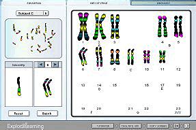 .student exploration human karyotyping answers economics for managers mcguigan 12th edition, diffusion of innovations everett m rogers, exponents and logarithms answers key, empco test questions browse and read student exploration human homeostasis gizmo answer key student. Ontario Educator Spotlight: Clayton Ellis ...